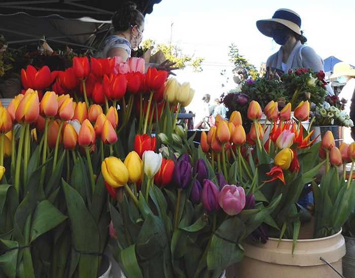 Kensington Farmers' Market