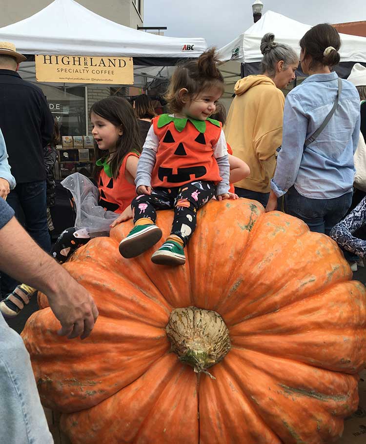 pumpkin_kid