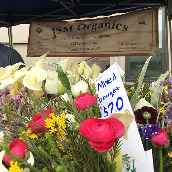 JSM_organics